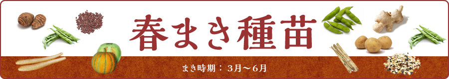 春まき種苗　まき時期3月から6月