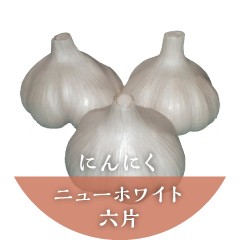 おすすめ商品 ニューホワイト六片