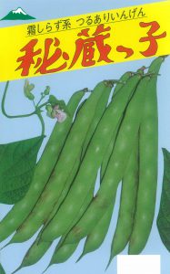 秘蔵っ子菜豆