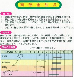 南部金甜瓜　絵袋裏