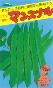 マンズナル菜豆