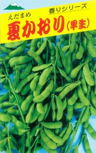 夏香枝豆