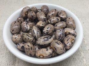 ゼブラ菜豆　種子