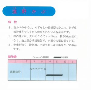 遠野かぶ　絵袋裏