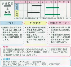 南部大長南蛮　絵袋表